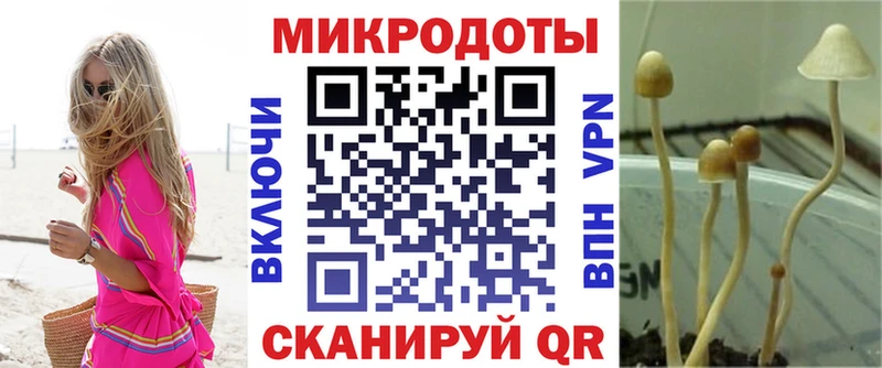 Псилоцибиновые грибы ЛСД  Ладушкин 