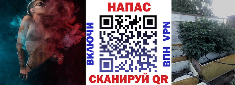 купить наркотики цена Ладушкин МАРИХУАНА план